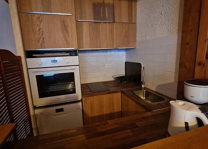 4 Pers, Centre Station Les Deux Alpes, Animaux Admis - Fr-1-516-75 Apartment Les Deux Alpes